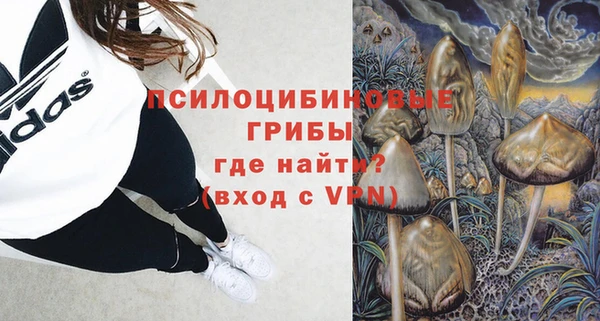 spice Арсеньев