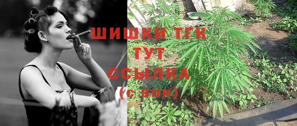 альфа пвп Няндома