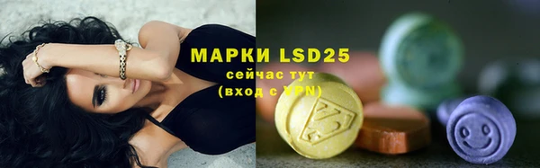 амф Аркадак