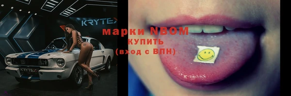 амф Аркадак