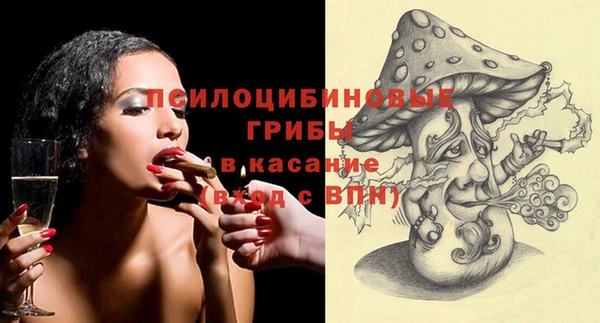 spice Арсеньев