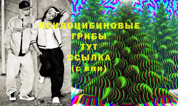 spice Арсеньев