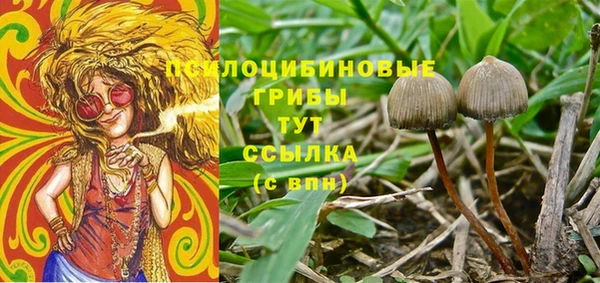 амф Аркадак