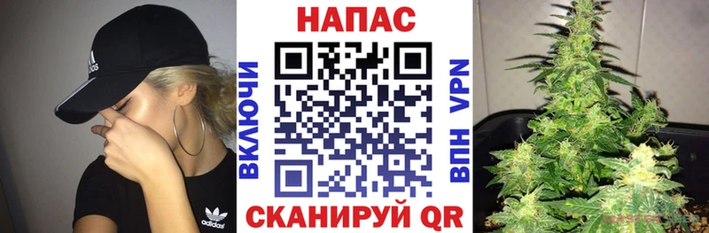 Бошки марихуана ГИДРОПОН  Хвалынск 